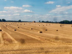 Baling & Chasing